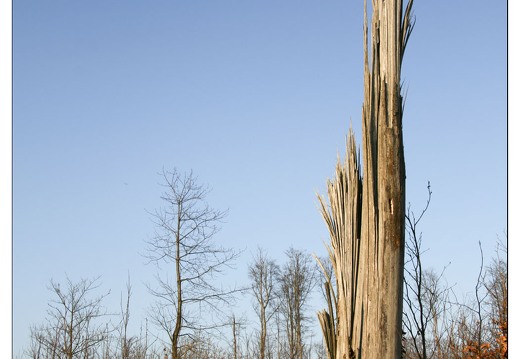 20080224-5519-Avant garde Pompey