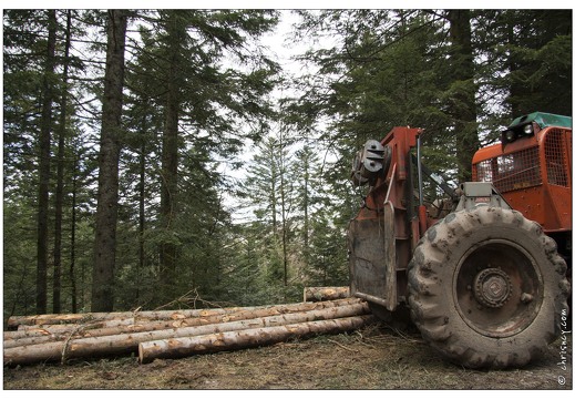 20080501-17 6805-La Bresse Etang de sechemer