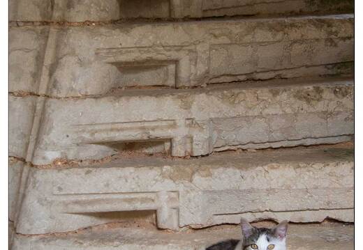 20080610-16 9573-Chateau de l Herm