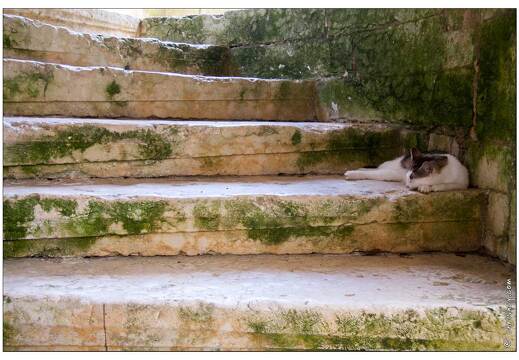 20080610-17 9582-Chateau de l Herm