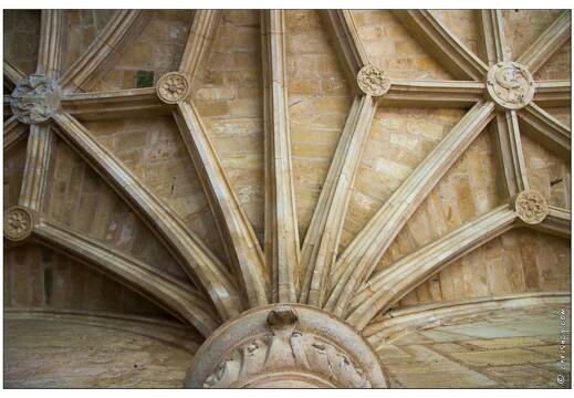 20080611-13 9785-Cadouin