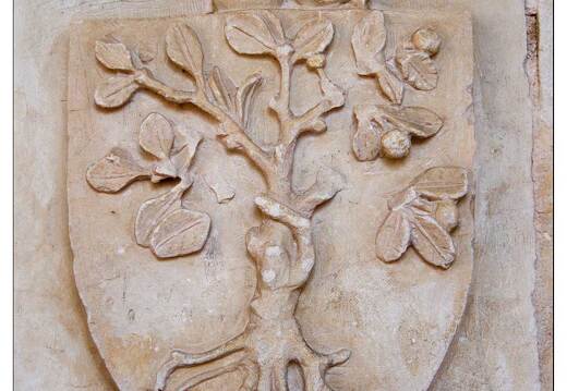 20080611-22 9754-Cadouin