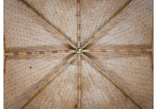 20080611-39 9860-St Avit Senieur