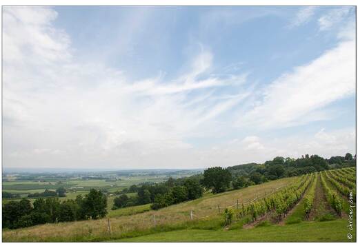 20080611-41 9890-Monbazillac