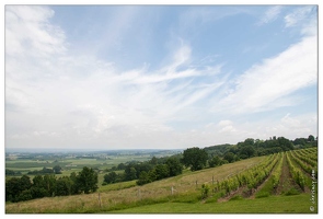 20080611-41 9890-Monbazillac