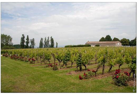 20080611-43 9877-Monbazillac