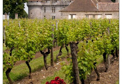 20080611-46 9876-Monbazillac