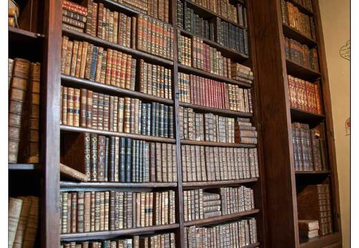 20080611-51 9919-Monbazillac