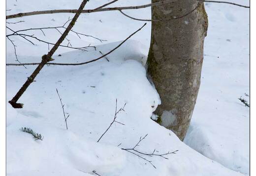 20150212-05 8368-La Bresse Lispach