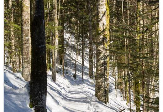 20150212-06 8369-La Bresse Lispach