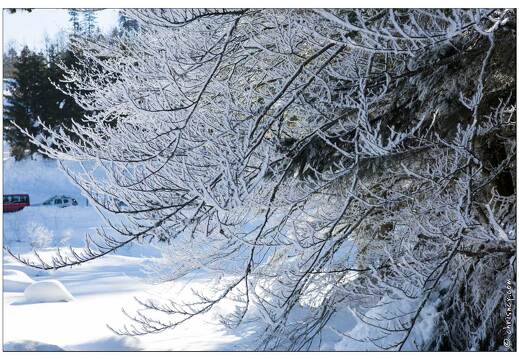 20150212-19 8360-La Bresse Lispach