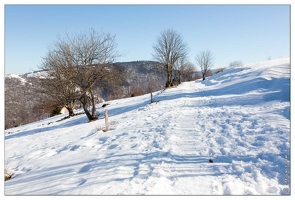 20150218-06 8603-La Bresse au Brabant