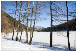 20150218-13 8633-La Bresse au lac des Corbeaux