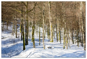 20150218-17 8631-La Bresse au lac des Corbeaux