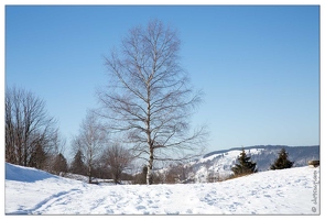 20150218-21 8657-La Bresse au Brabant