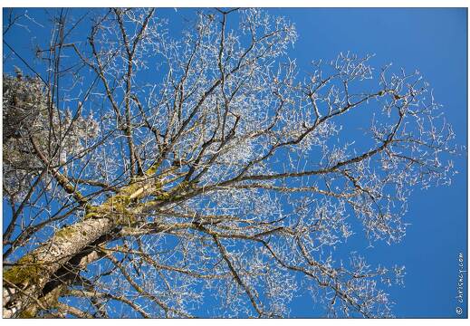 20150218-41 8715-La Bresse Blanchemer