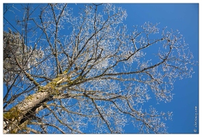 20150218-41 8715-La Bresse Blanchemer