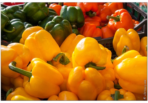 Campagn' Art à la Pépinière