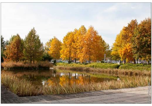 20081018-8429-Nancy Jardin Eau