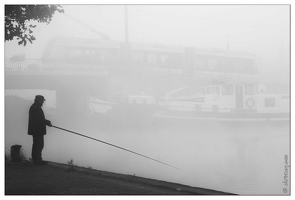 20081018-8273-Brouillard du matin