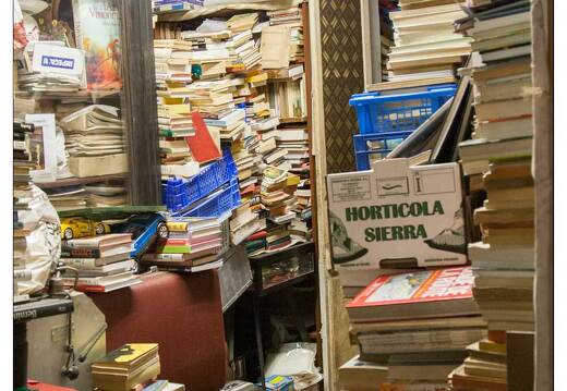 20080929-21 6700-Lescar artiste collectionneur