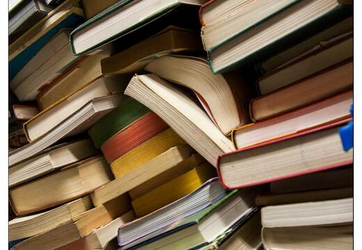 20080929-22 6685-Lescar artiste collectionneur