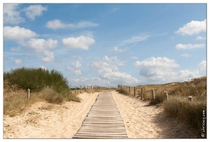 20080930-21 6805-Hossegor