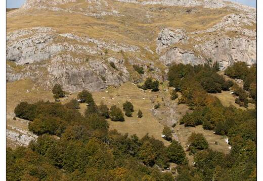 20081004-22 7468-au Col du Portalet