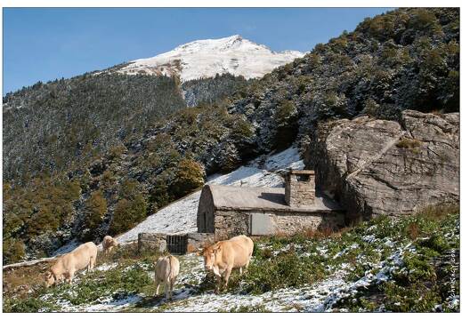 20081004-24 7471-descente Col du Portalet