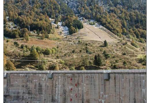 20081004-36 7561-Fabreges