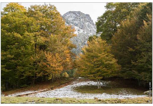 20081004-46 7590-Au lac de Bious Artigues