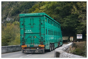 20081004-50 7637-Moutons en camion