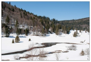 20090321-1213-La Bresse col des faignes