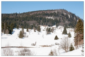 20090321-1216-La Bresse col des faignes