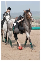 20090405-1936-Horseball