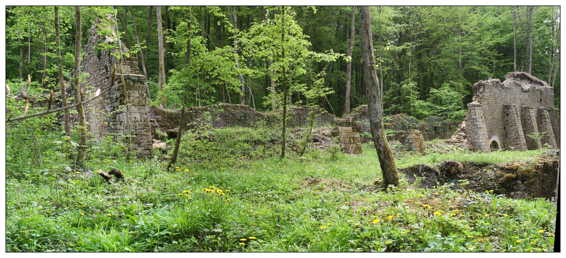 20090503-28_3877-Bas_fourneau_de_Dorlon_pano.jpg