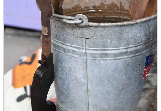 20090506-05 4091-Cerfav Vannes le Chatel