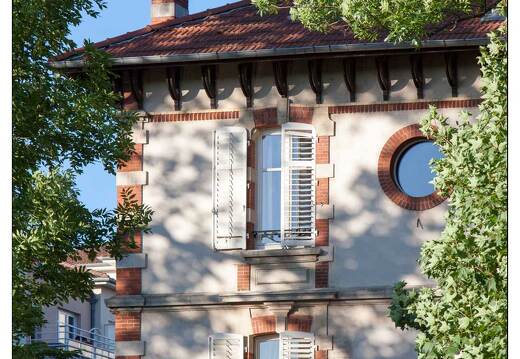 20090522-05 0048-Bras vert