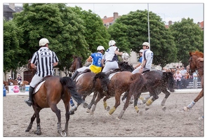 20090523-0294-Horseball