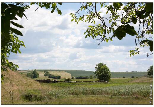 20090601-03 1547-Marsal