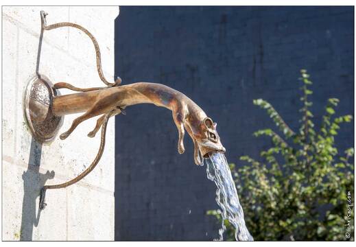 20090612-04 2563-Fontaine Azay le Rideau