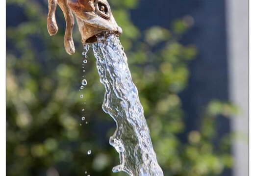 20090612-05 2566-Fontaine Azay le Rideau