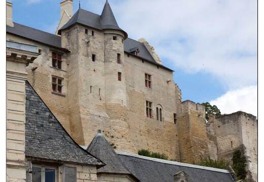 20090612-09 2921-Chinon