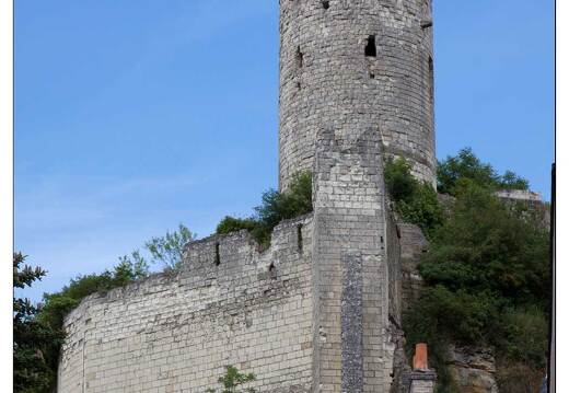 20090612-12 2920-Chinon