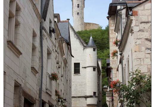 20090612-17 2965-Chinon