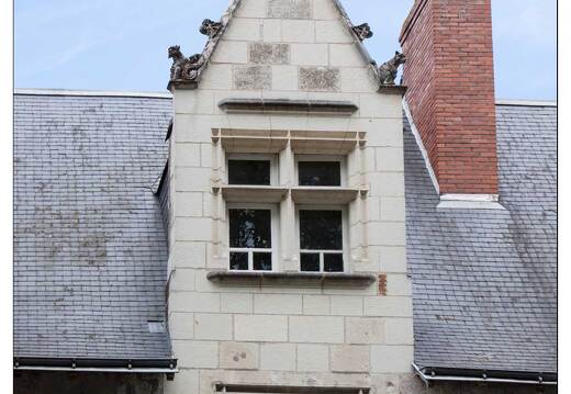 20090612-18 2931-Chinon