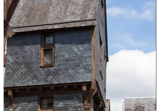 20090612-22 2970-Chinon