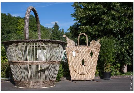 20090612-3027-Osier a Villaines