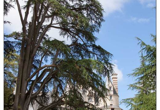 20090612-06 2632-Usse w