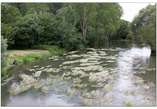 20090612-43 2899-Indre